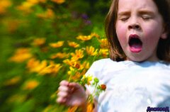 Приходит весна, и вместе с ней в воздухе появляется аромат цветов. Для некоторых, однако, эти месяцы - сущий кошмар, потому что они страдают от симптомов классической весенней аллергии.