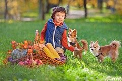 4 добрых породы собак, которые обожают детей